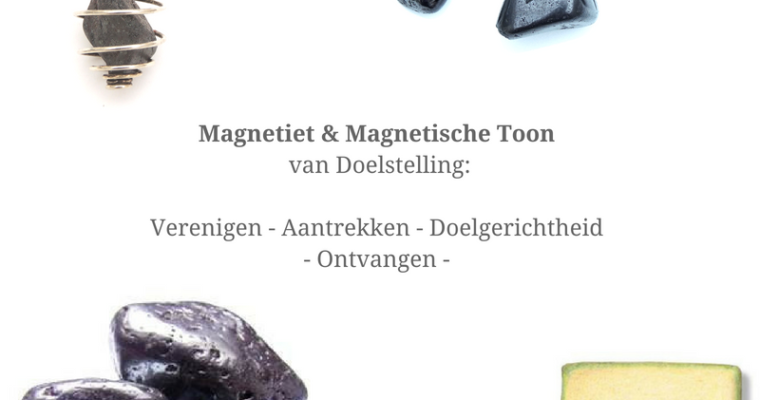 Magnetiet – Rechter Enkel
