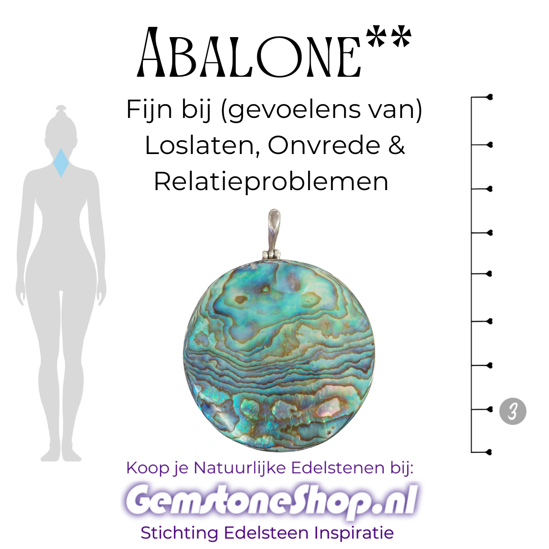 Abalone